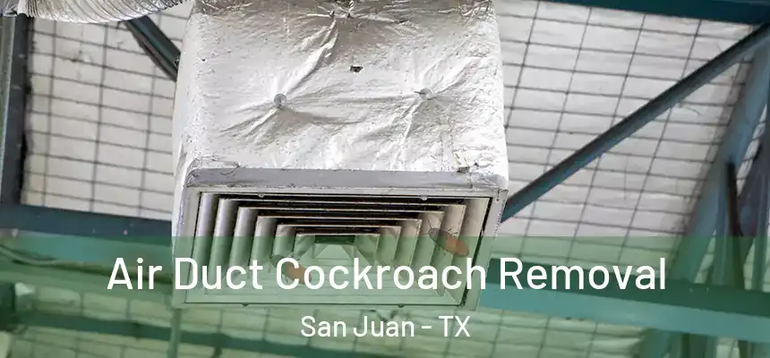Air Duct Cockroach Removal San Juan - TX