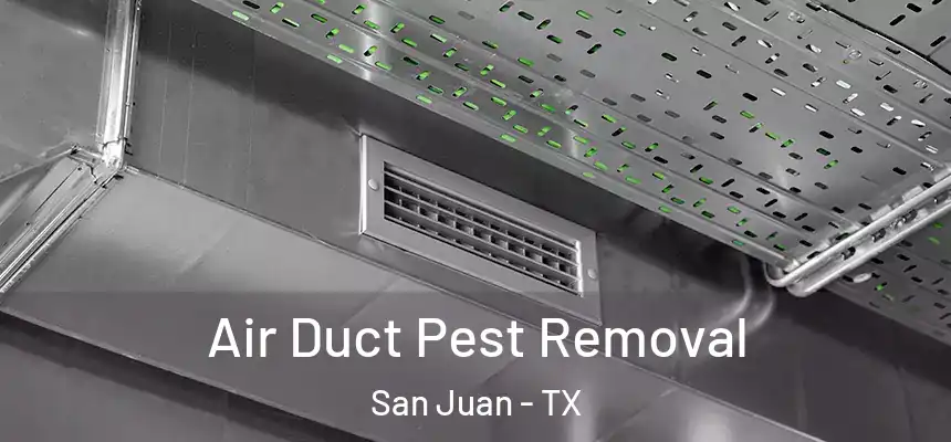  Air Duct Pest Removal San Juan - TX