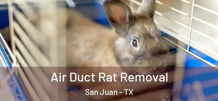  Air Duct Rat Removal San Juan - TX