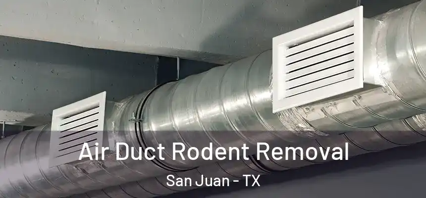 Air Duct Rodent Removal San Juan - TX
