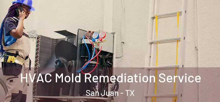 HVAC Mold Remediation Service San Juan - TX