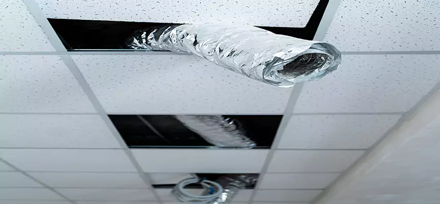 Our Air Duct Pet Hair Removal Services in San Juan, TX