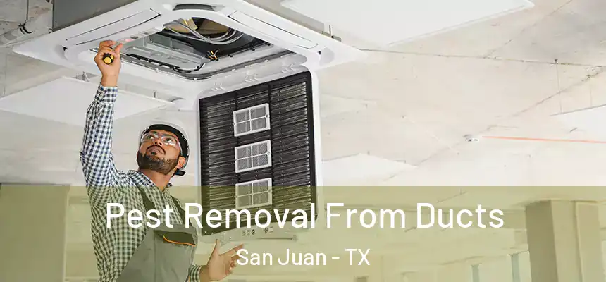 Pest Removal From Ducts San Juan - TX