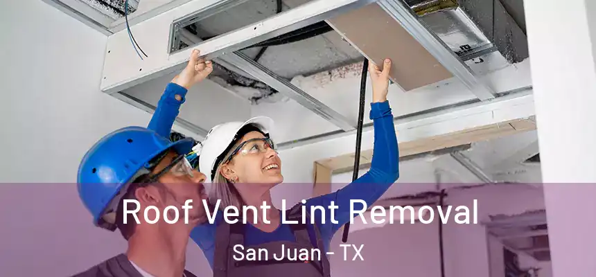 Roof Vent Lint Removal San Juan - TX