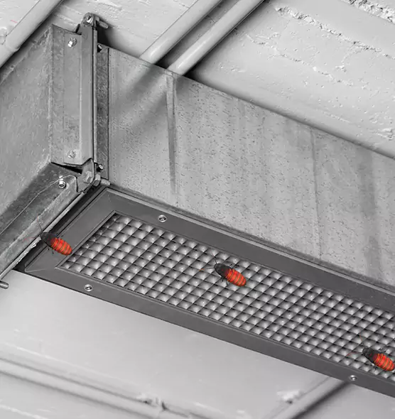 About Air Duct Cockroach Removal in San Juan, TX