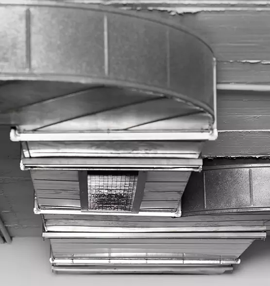 Professional Air Duct Pest Removal in San Juan, TX