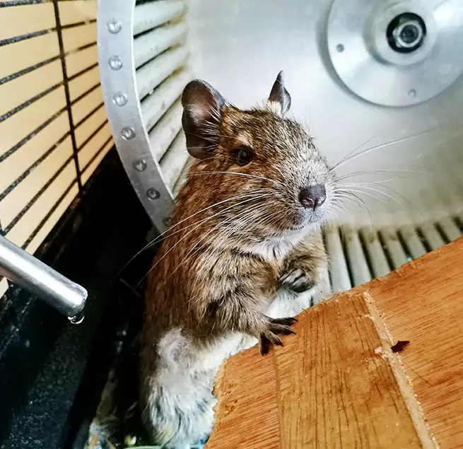 Why Homeowners & Businesses Trust Us San Juan, TX?